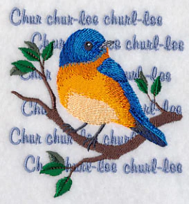 Eastern Bluebird Song - Image 5