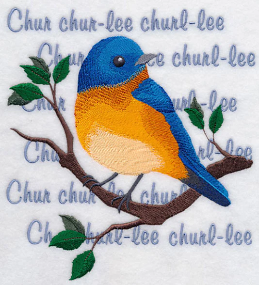 Eastern Bluebird Song - Image 6