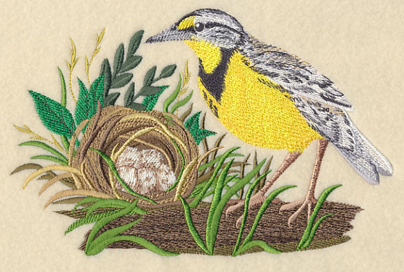 Eastern Meadowlark and Nest - Image 3