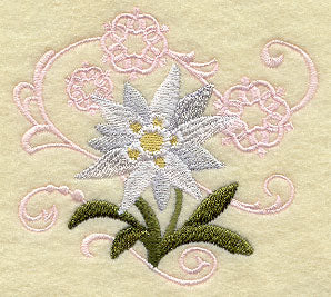 Edelweiss and Snowflake Echo - Image 4