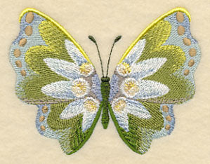 Edelweiss Butterfly in Watercolor - Image 3