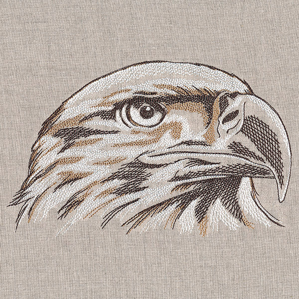 Elegant Eagle Etching - Image 3
