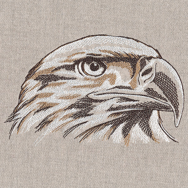 Elegant Eagle Etching - Image 4