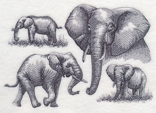 Elephant Sketch - Image 3