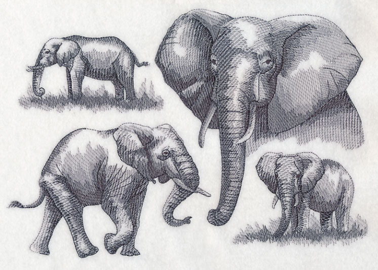 Elephant Sketch - Image 4