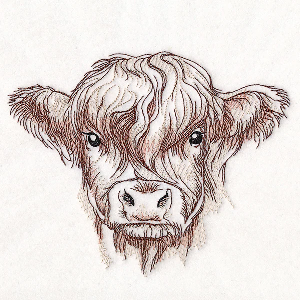 Elusive Highland Cow Portrait - Image 2