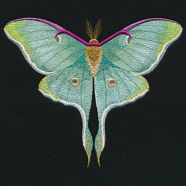 Emerald Luna Moth - Image 5