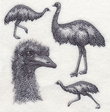 Emu Sketch - Image 4