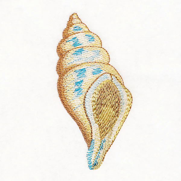 Enchanting Tulip Shell in Watercolor