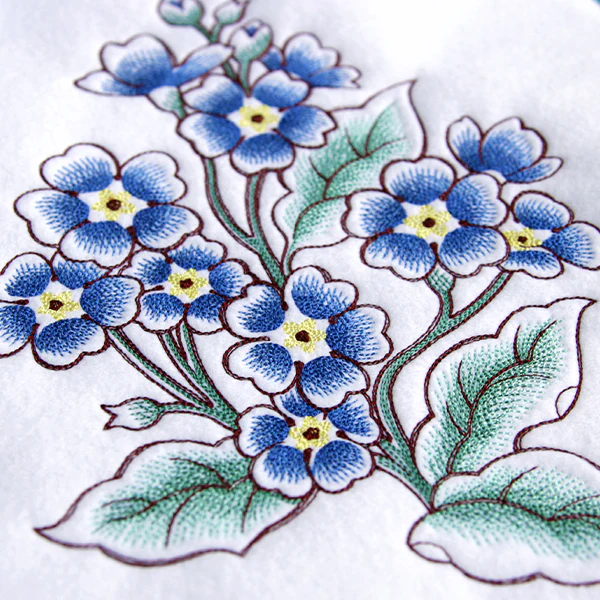 English Primrose in Bloom - Image 4