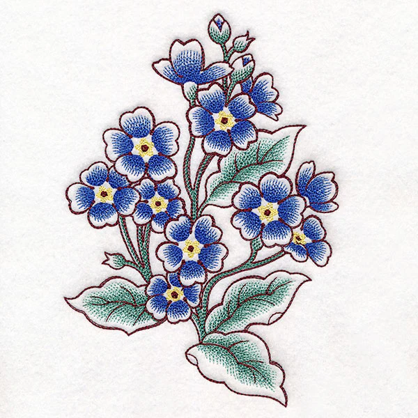 English Primrose in Bloom - Image 5