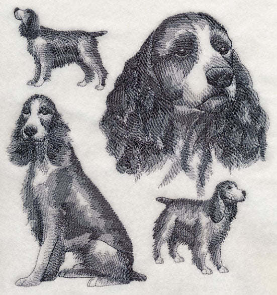 English Springer Spaniel Sketch (Docked Tail) - Image 2