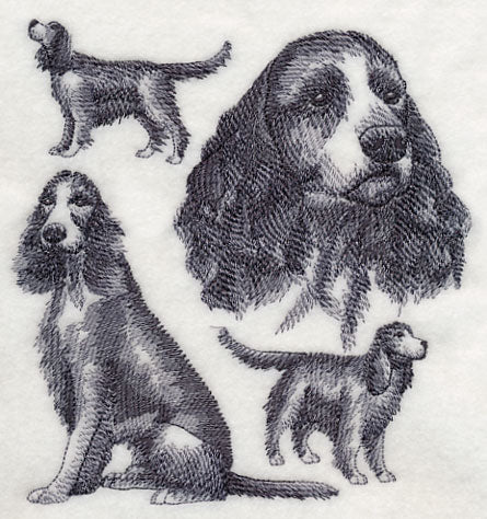 English Springer Spaniel Sketch (Full Tail) - Image 3