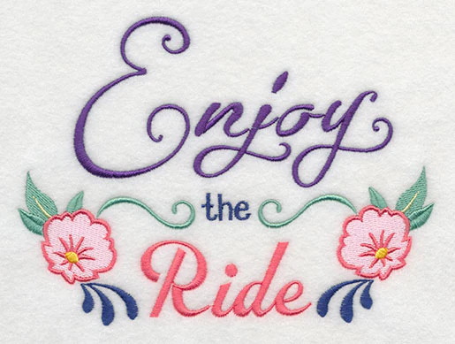 Enjoy the Ride - Image 3