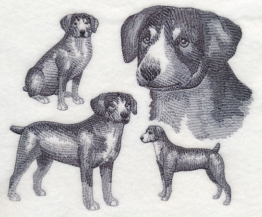 Entlebucher Mountain Dog Sketch (Docked Tail) - Image 2