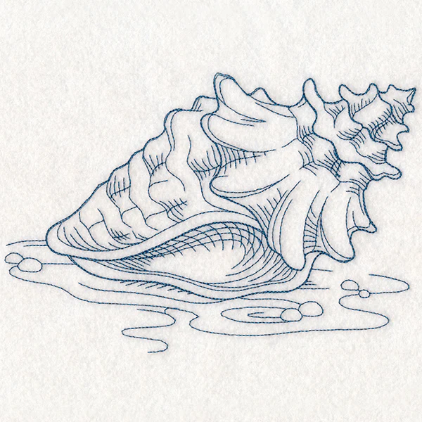 Etching Seashell - Image 2