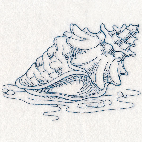 Etching Seashell - Image 3
