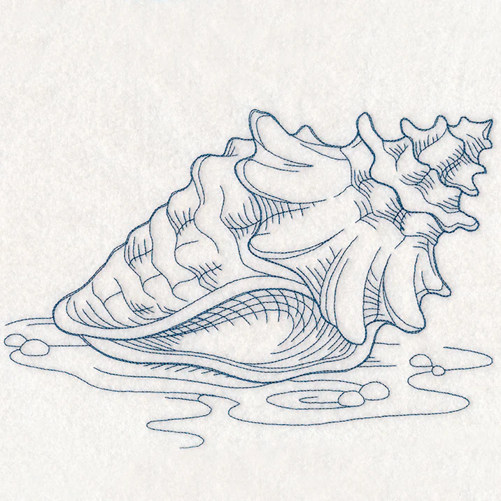 Etching Seashell - Image 5