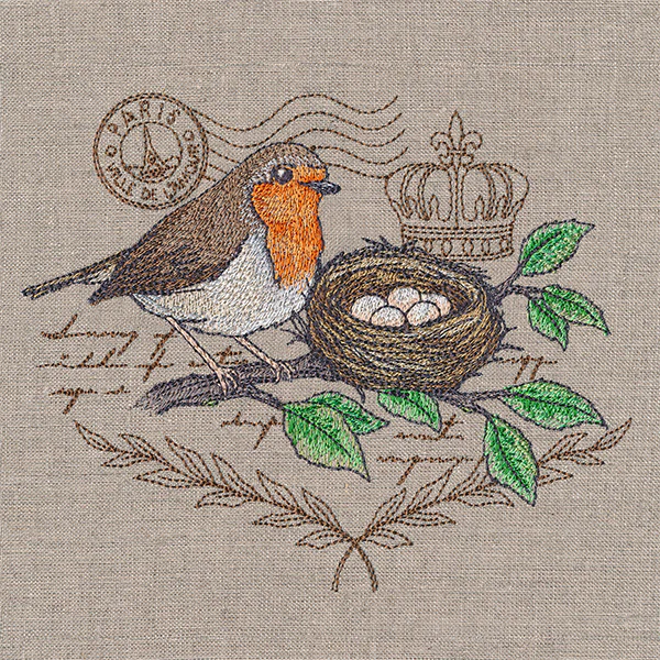 European Robin Medley - Image 3