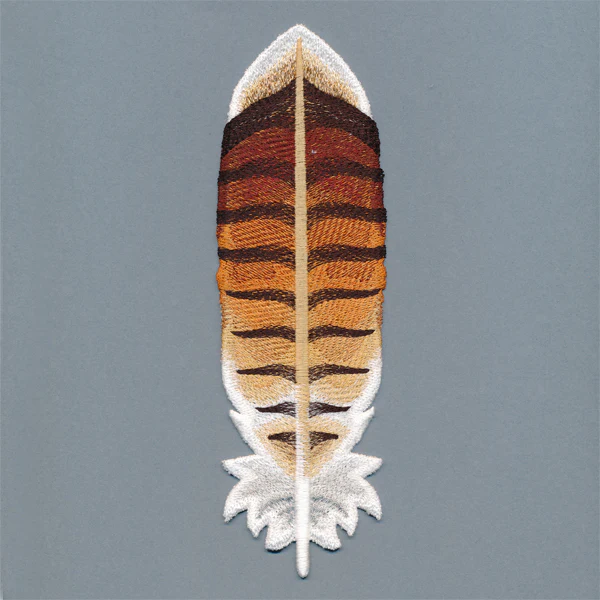 Exquisite Red-tailed Hawk Feather (In-the-Hoop) - Image 4