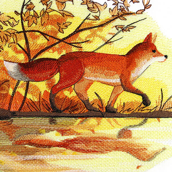 Fall Fox by Water - Image 6