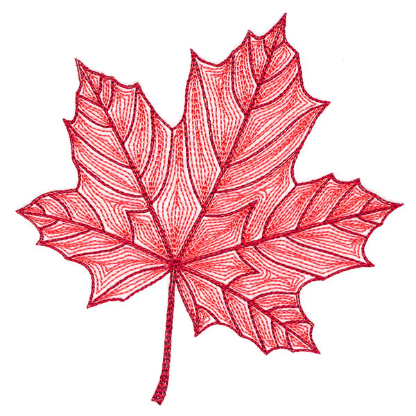 Fall into Autumn - Maple Leaf - Image 4