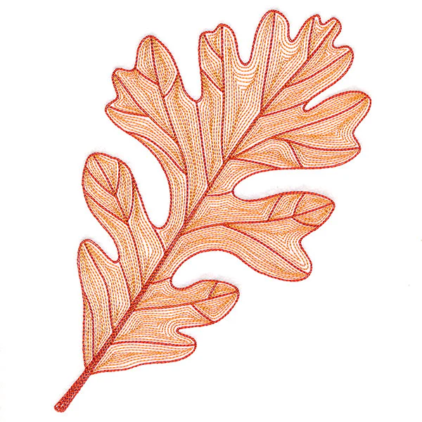 Fall into Autumn - Oak Leaf - Image 2