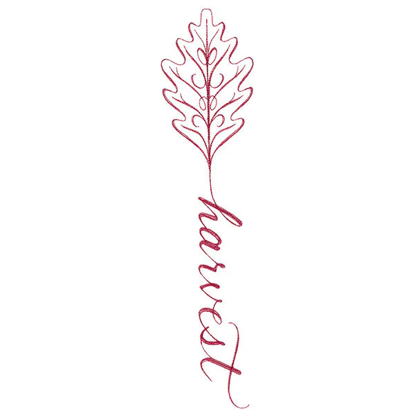 Fall Leaves Calligraphy - Harvest