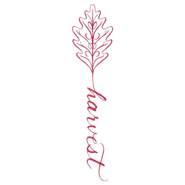Fall Leaves Calligraphy - Harvest - Image 3