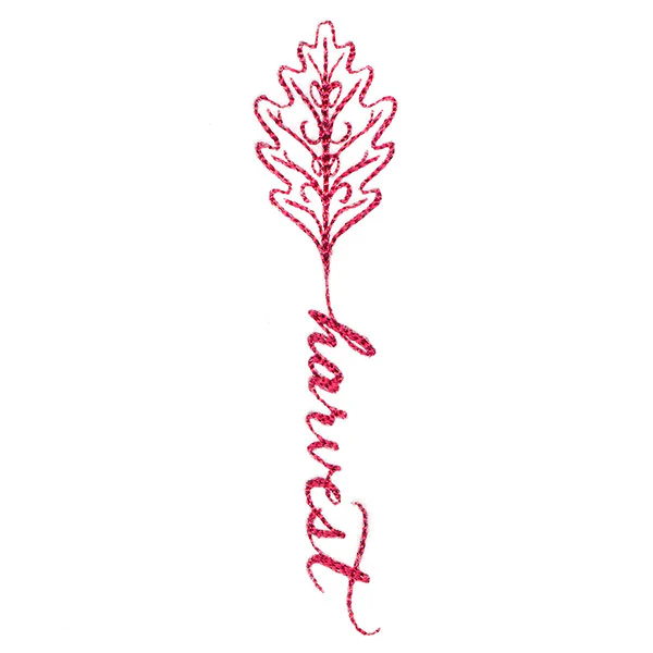 Fall Leaves Calligraphy - Harvest - Image 9