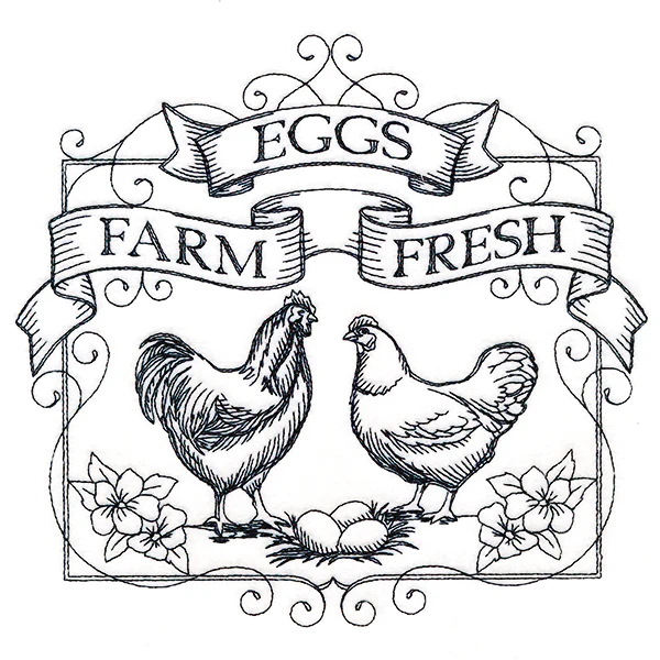 Fancy Farm Fresh Eggs - Image 4
