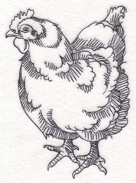 Farm Animal Sketch - Chicken - Image 2