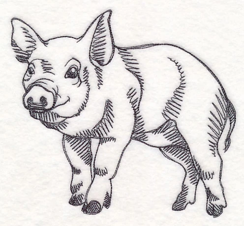 Farm Animal Sketch - Pig - Image 2