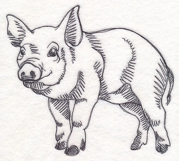 Farm Animal Sketch - Pig - Image 5