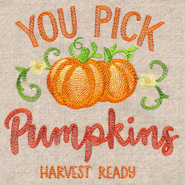 Farm Fresh Sign - Pumpkins - Image 5