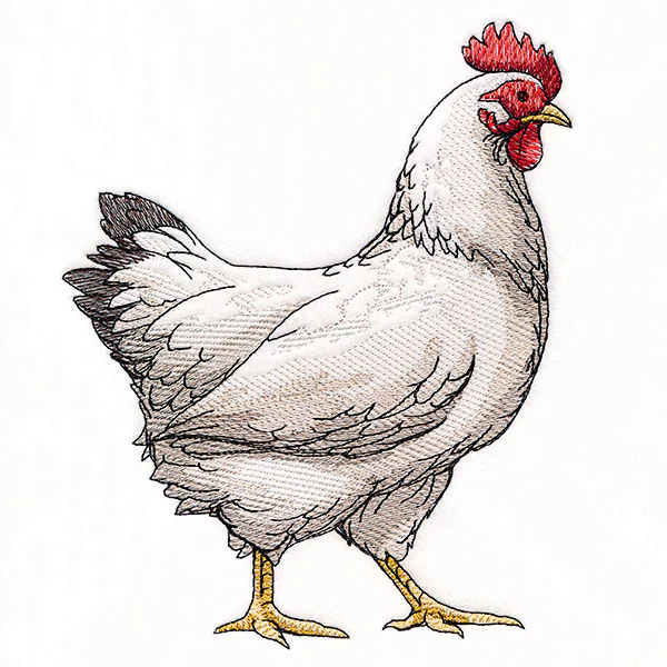 Farmhouse Chicken