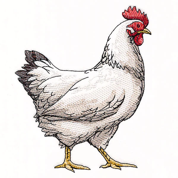 Farmhouse Chicken - Image 4
