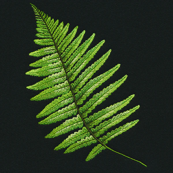 Fern Flourish - Image 2