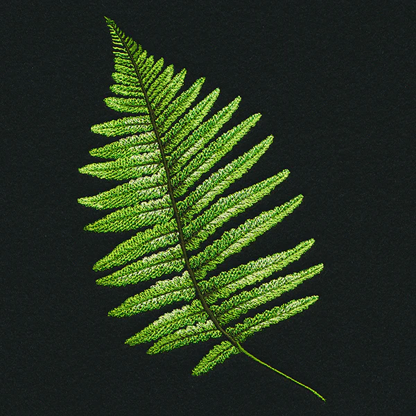 Fern Flourish - Image 4