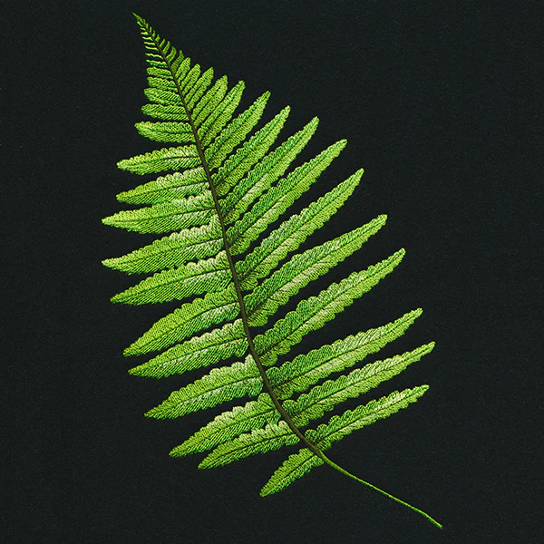 Fern Flourish - Image 5