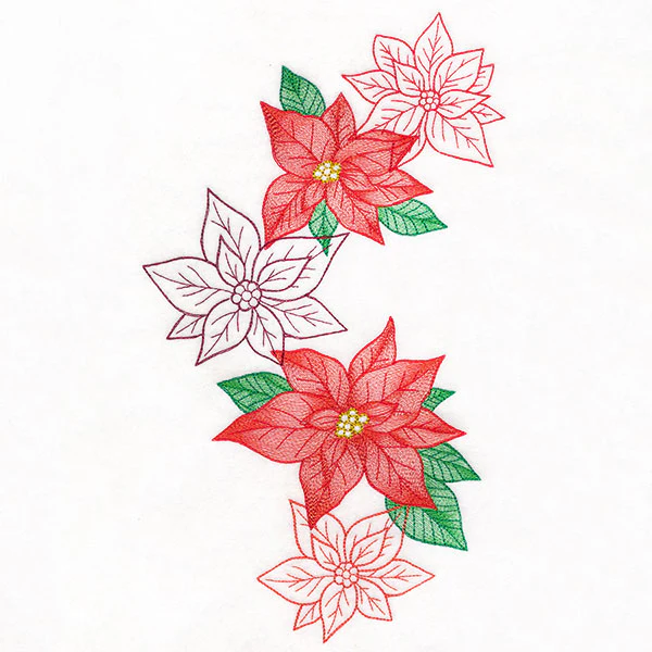 Festive Christmas Poinsettia Feature