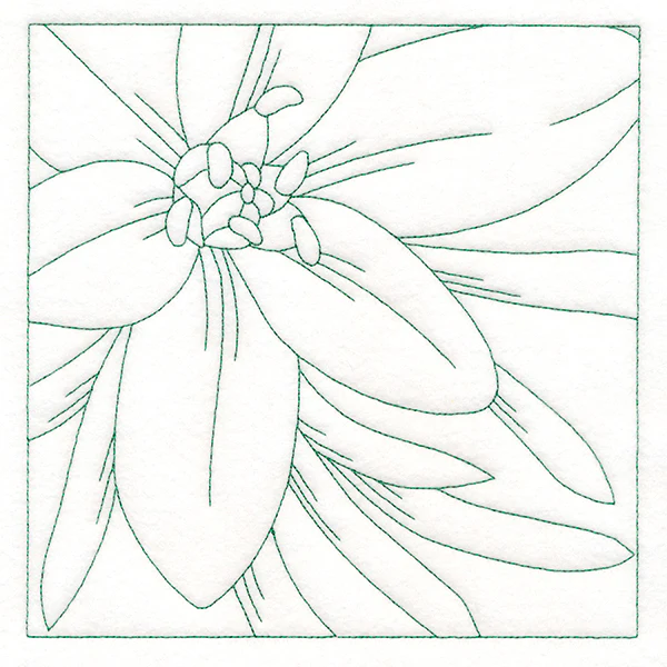 Festive Florals Quilting - Star of Bethlehem (Double Run) - Image 2