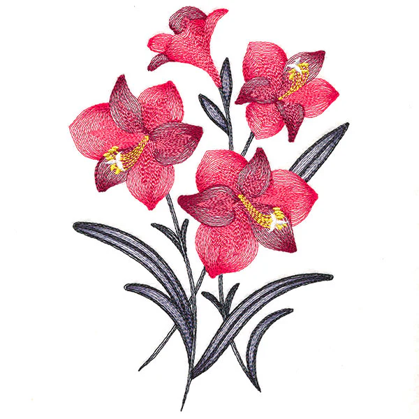 Festive Flourishing Bouquet - Amaryllis - Image 2