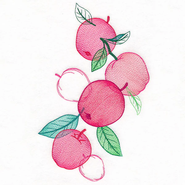 Festive Harvest Apples Feature - Image 2