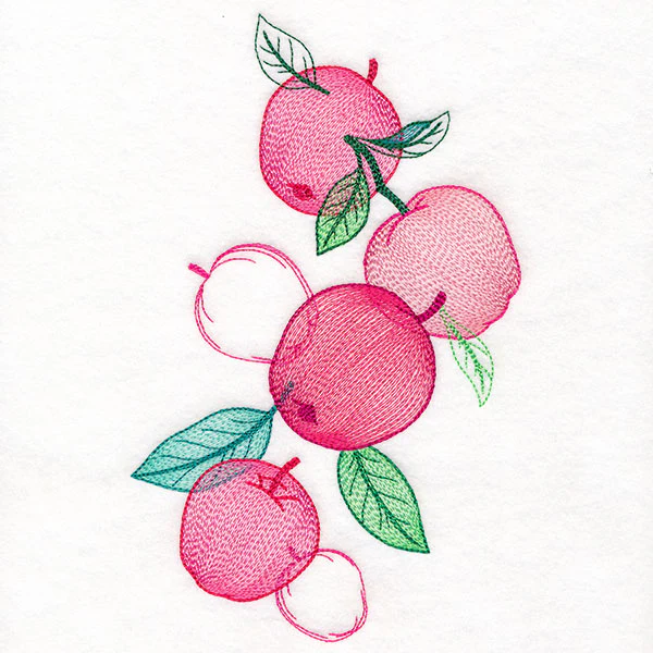 Festive Harvest Apples Feature - Image 4