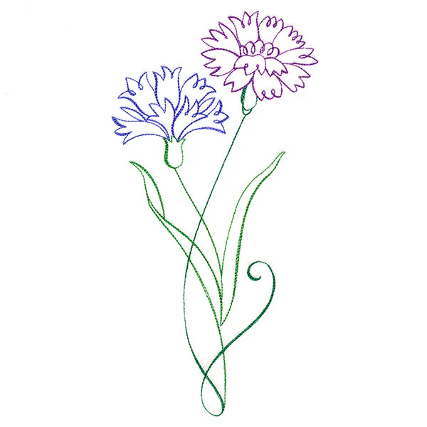 Floral Calligraphy - Cornflower - Image 2