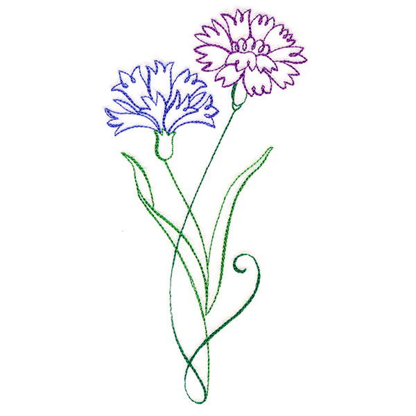 Floral Calligraphy - Cornflower - Image 4