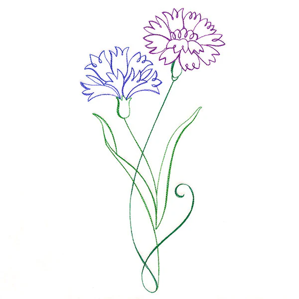 Floral Calligraphy - Cornflower - Image 6