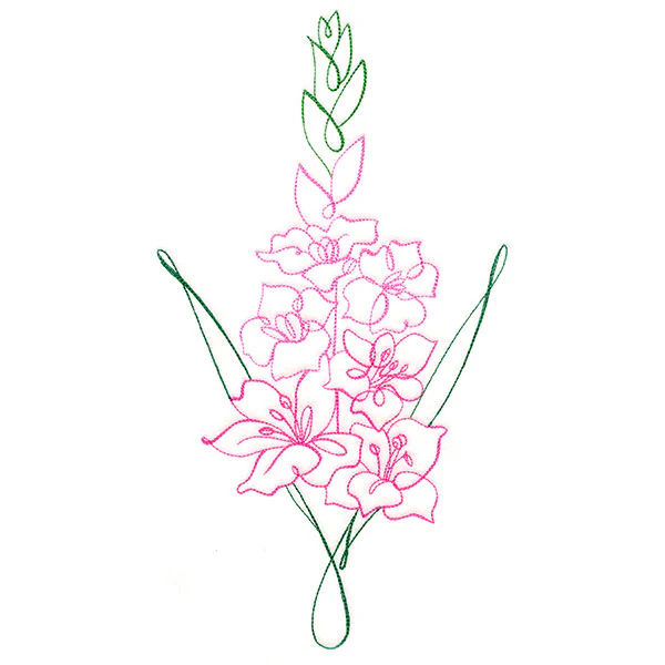 Floral Calligraphy - Gladiolus - Image 11