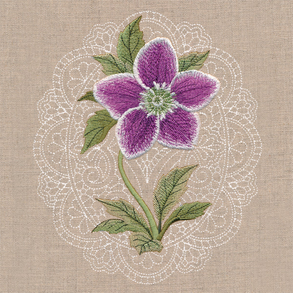 Floral Cameo - Lenten Rose - Image 4